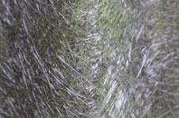 Grimstone fibreglass roof work